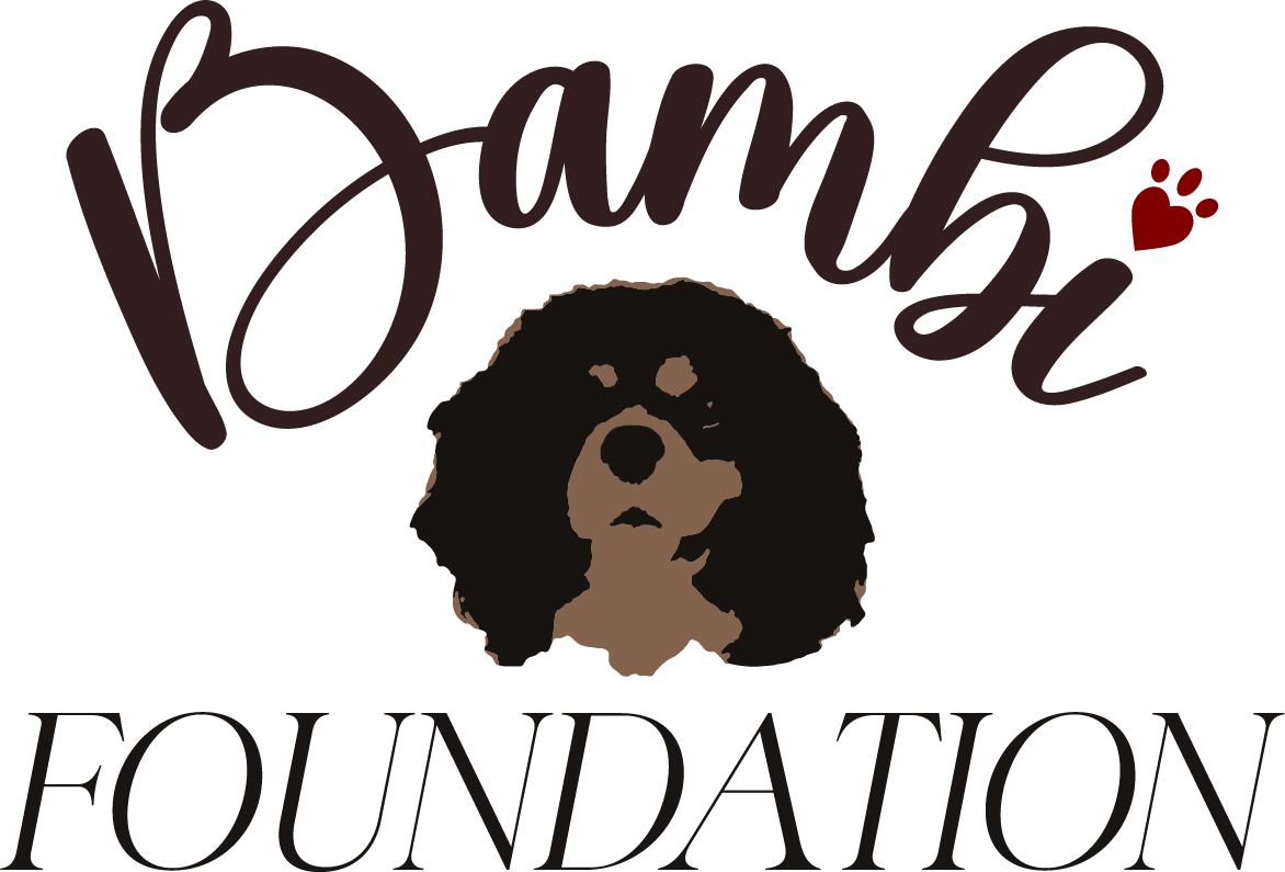 Bambi Foundation Albania