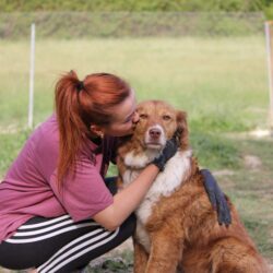 🐶 Pet Adoption: How To and What For? 🐶 Pet Adoption: How To and What For?