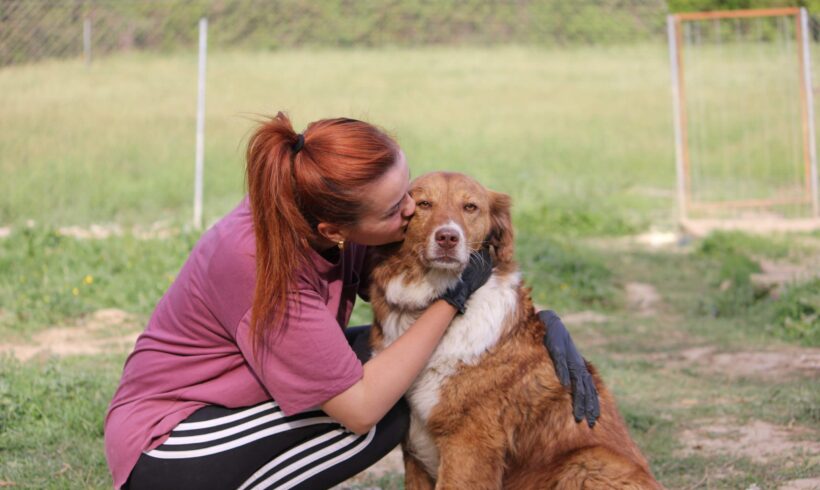 🐶 Pet Adoption: How To and What For? 🐶 Pet Adoption: How To and What For?